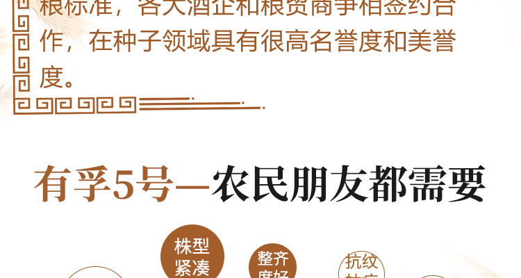坔育种业-电子画册_02_03.jpg
