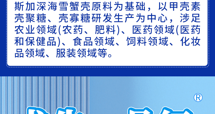 钟祥一品红--电子画册_02_03.jpg