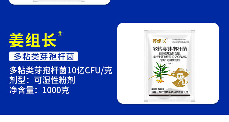 钟祥一品红--电子画册_02_09.jpg