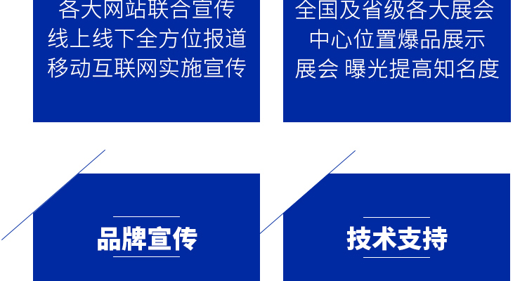 钟祥一品红--电子画册_02_11.jpg