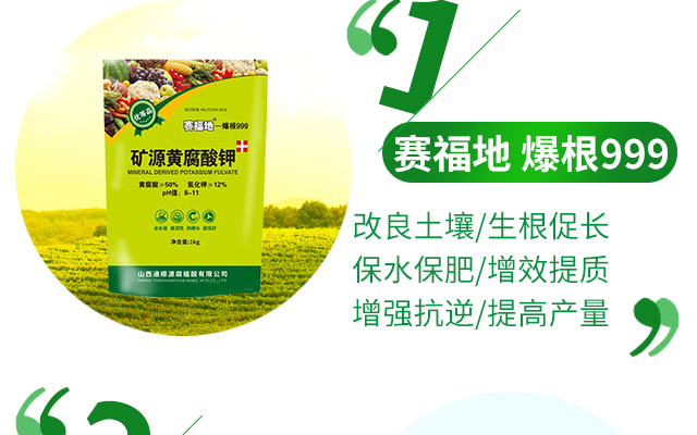 山西通顺源腐植酸有限公司--电子画册_02_06.jpg