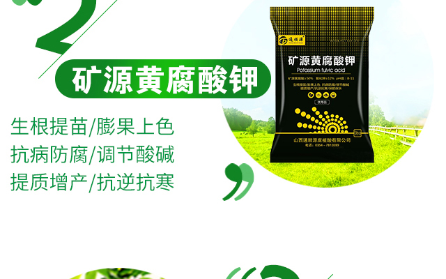 山西通顺源腐植酸有限公司--电子画册_02_07.jpg
