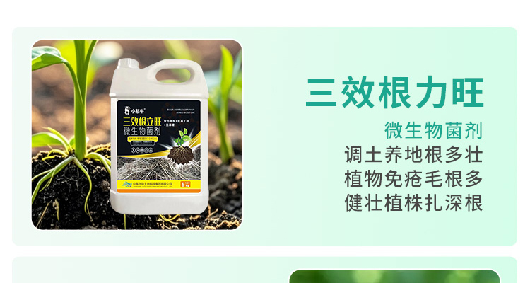优沃源素生物科技(天津)有限公司--电子画册_02_07.jpg