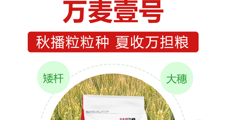 河南万担粮农业科技有限公司-电子画册_02_03.jpg