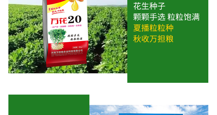河南万担粮农业科技有限公司-电子画册_02_06.jpg