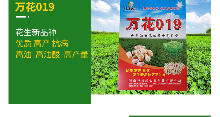河南万担粮农业科技有限公司-电子画册_02_07.jpg