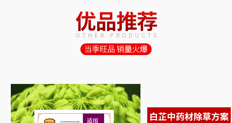 毫州苗乐康农业科技-电子画册_02_09.jpg