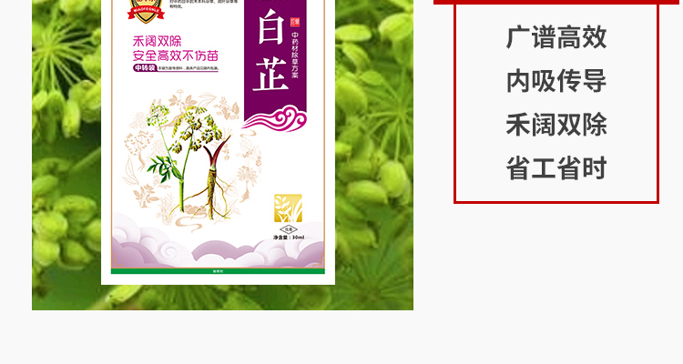 毫州苗乐康农业科技-电子画册_02_10.jpg