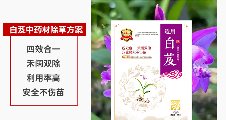 毫州苗乐康农业科技-电子画册_02_11.jpg