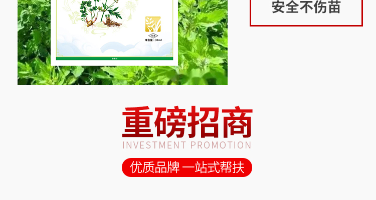 毫州苗乐康农业科技-电子画册_02_13.jpg