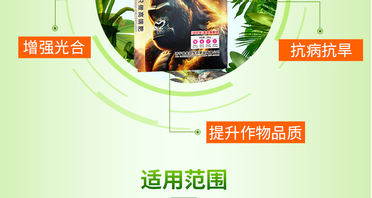 济宁鲁金豆生态肥业有限公�?电子画册_02_05.jpg