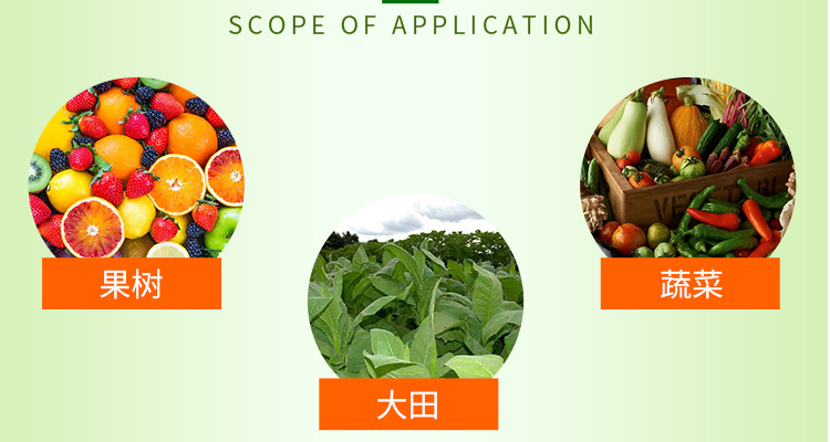 济宁鲁金豆生态肥业有限公�?电子画册_02_06.jpg