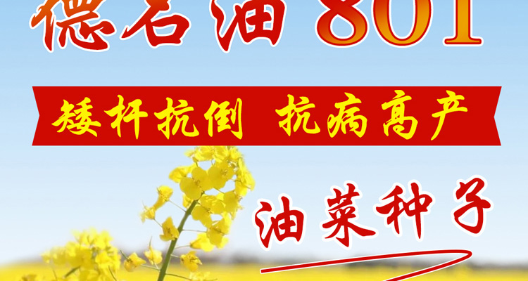 四川德名种业有限公司--电子画册_02_04.jpg