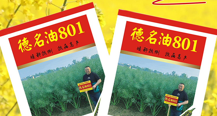 四川德名种业有限公司--电子画册_02_05.jpg