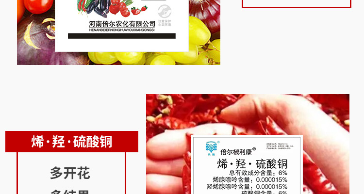 河南倍尔农化-电子画册_02_07.jpg