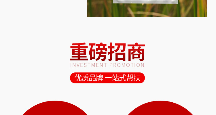 河南倍尔农化-电子画册_02_11.jpg