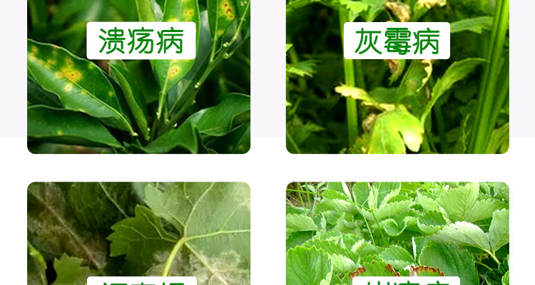 开封奥瑞奇生物科技有限公司_02_04.jpg
