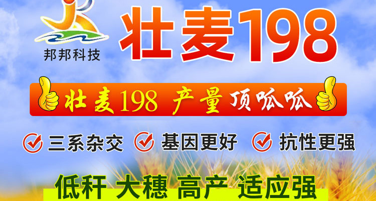 河南邦邦种业有限公司--电子画册_02_04.jpg