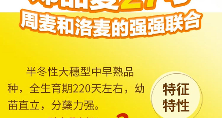 河南邦邦种业有限公司--电子画册_02_08.jpg