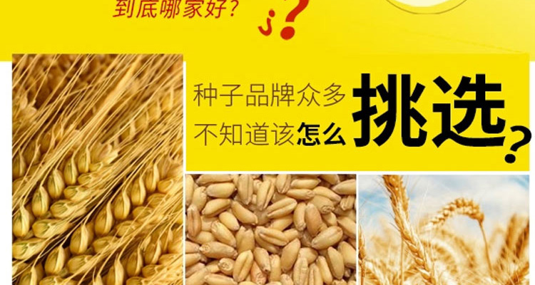 河南邦邦种业有限公司--电子画册_02_09.jpg