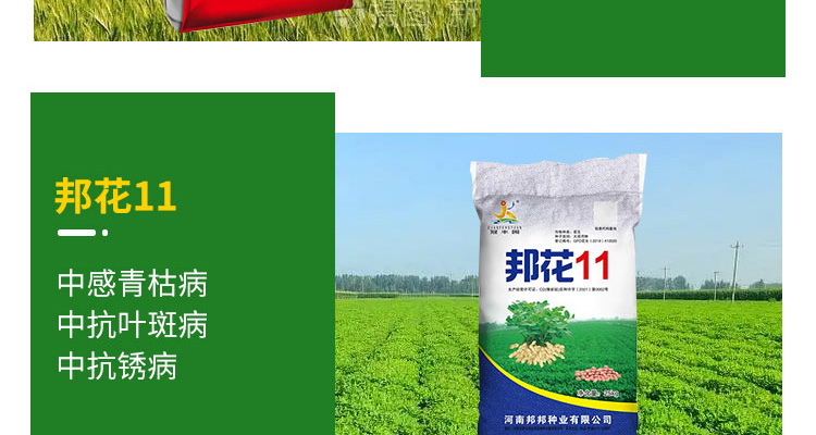河南邦邦种业有限公司--电子画册_02_12.jpg