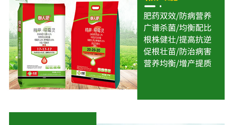 山东汤普乐作物科学有限公�?电子画册_02_06.jpg