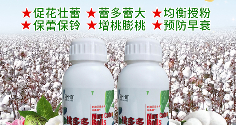 annuo_02_06.jpg