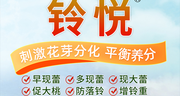 annuo_02_08.jpg