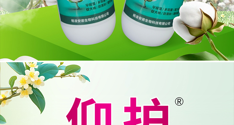 annuo_02_10.jpg