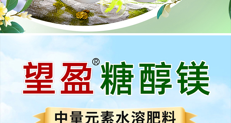 annuo_02_13.jpg