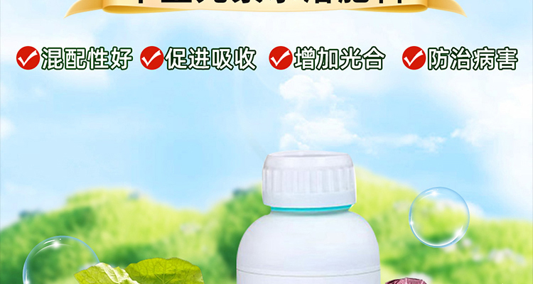 annuo_02_14.jpg