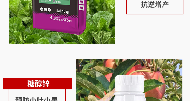 河南贝滋诺贸易有限公�?电子画册_02_07.jpg
