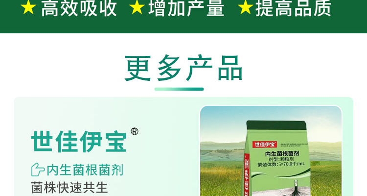 浙江世佳科技股份-电子画册_02_06.jpg