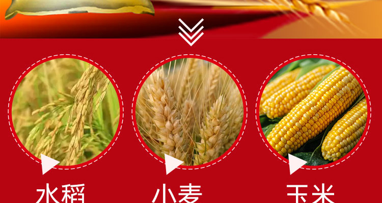 山东得恒生物科技有限公司--电子画册_02_06.jpg