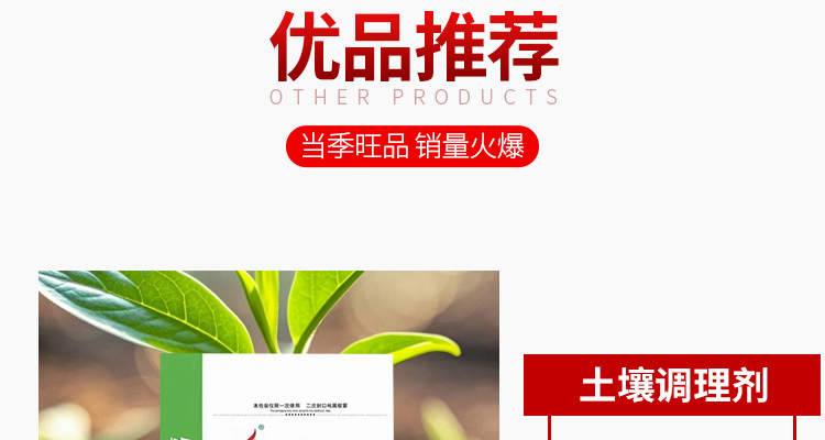 通辽梅花生物科技有限公司-电子画册_02_06.jpg