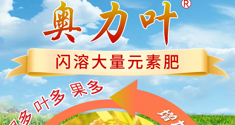 重庆奥力叶奥力果农业科技有限公司--电子画册_02_04.jpg