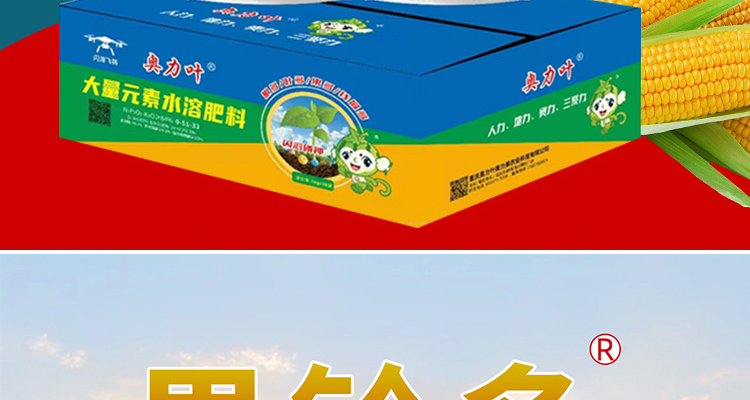 重庆奥力叶奥力果农业科技有限公司--电子画册_02_06.jpg