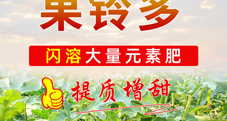 重庆奥力叶奥力果农业科技有限公司--电子画册_02_07.jpg