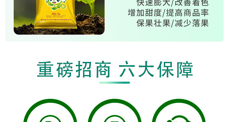 重庆奥力叶奥力果农业科技有限公司--电子画册_02_12.jpg