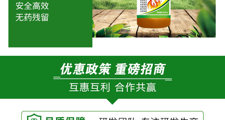 山东滨辉生物科技有限公司-电子画册_02_13.jpg