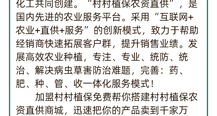 柘城县红太阳农资商贸连锁有限公司--电子画册_02_02.jpg