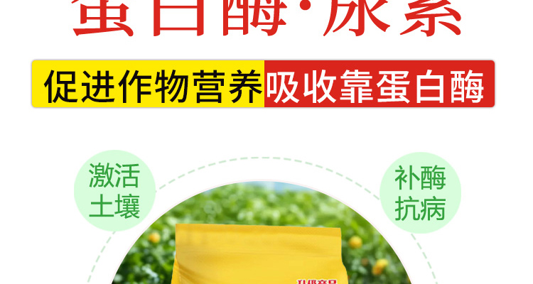 柘城县红太阳农资商贸连锁有限公司--电子画册_02_04.jpg