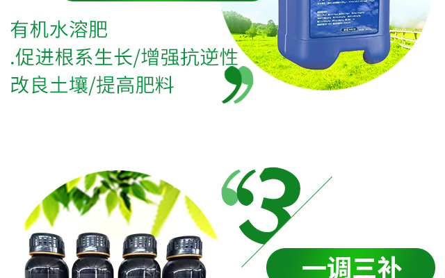 河南金回报农业科技有限公司---电子画册_02_07.jpg