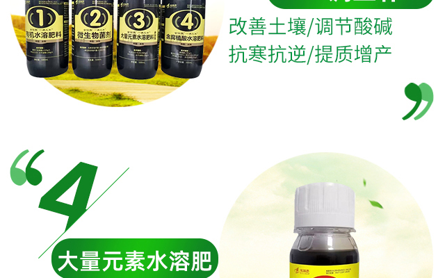 河南金回报农业科技有限公司---电子画册_02_08.jpg