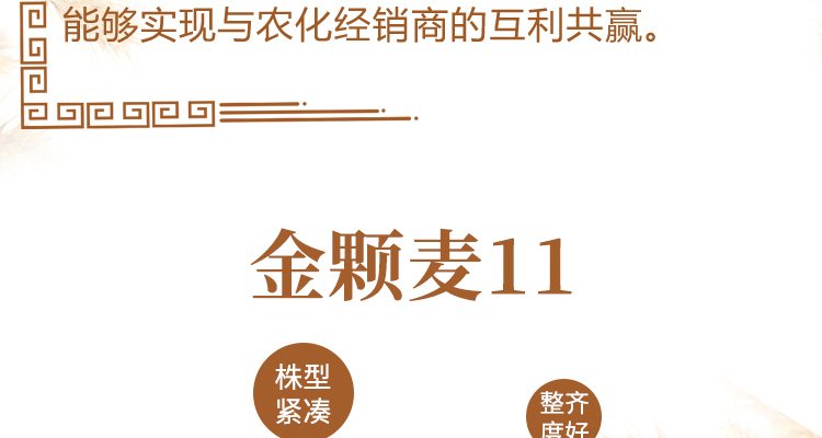 河南永研农业科技有限公司-电子画册_02_03.jpg