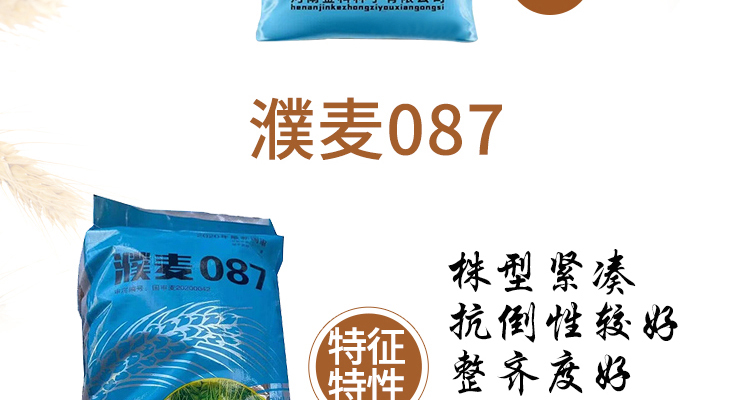 河南永研农业科技有限公司-电子画册_02_05.jpg
