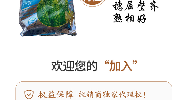 河南永研农业科技有限公司-电子画册_02_06.jpg