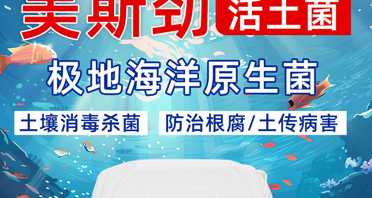 普美斯进出口（青岛）集团有限公司--电子画册_02_07.jpg