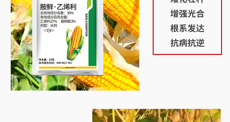 河南及时雨生物科技有限公司-电子画册_02_07.jpg