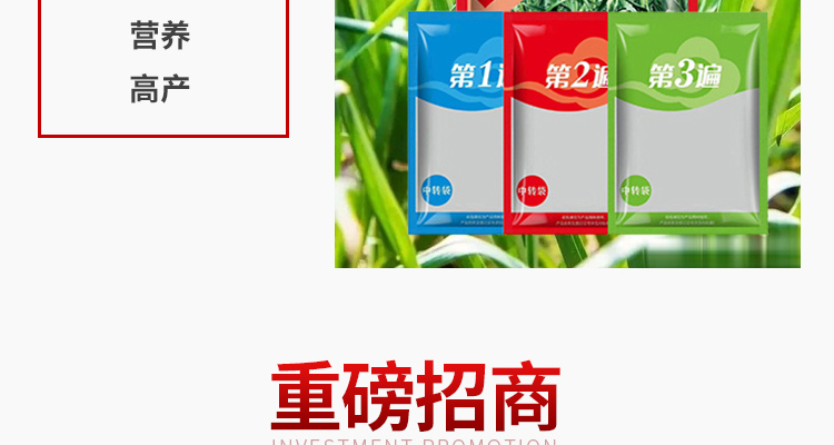河南及时雨生物科技有限公司-电子画册_02_11.jpg